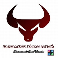 Santa Barbara de Buría